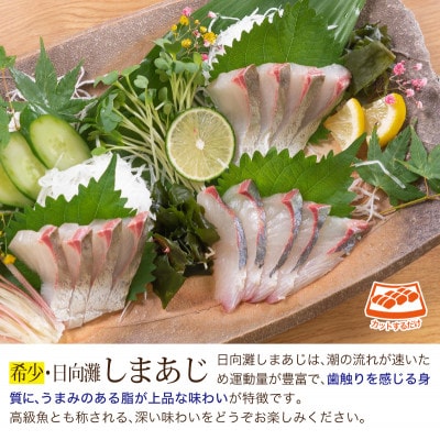 ヒラメとしまあじのお刺身セット(門川町)