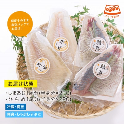 ヒラメとしまあじのお刺身セット(門川町)