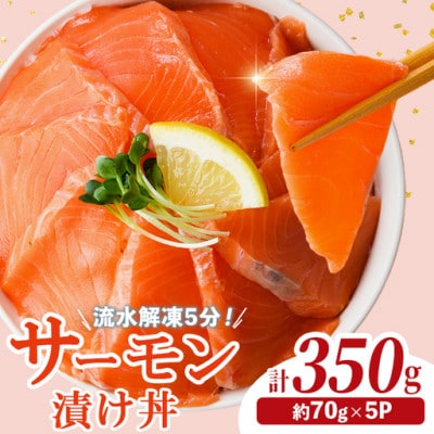サーモン漬け丼(70g×5P)(門川町)