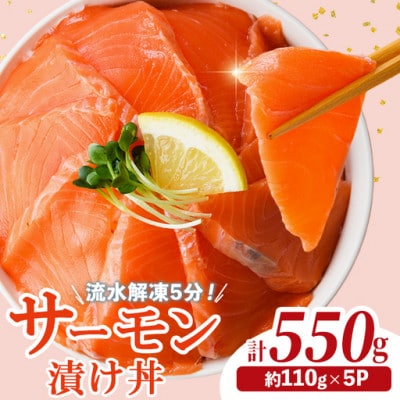 サーモン漬け丼(110g×5P)(門川町)