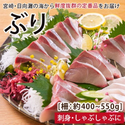 ぶりのお刺身(門川町)