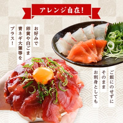 【お試しサイズ】海鮮 お魚漬け丼 食べ比べセット(6種)(門川町)