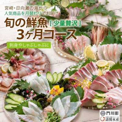 【毎月定期便】旬の鮮魚3ヶ月コース(少量贅沢)(門川町)全3回