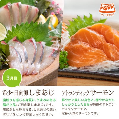 【毎月定期便】旬の鮮魚3ヶ月コース(少量贅沢)(門川町)全3回