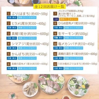 【毎月定期便】旬の鮮魚12ヶ月コース(門川町)全12回