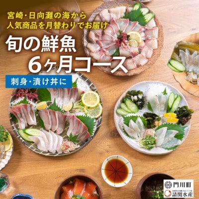 【毎月定期便】旬の鮮魚6ヶ月コース(門川町)全6回