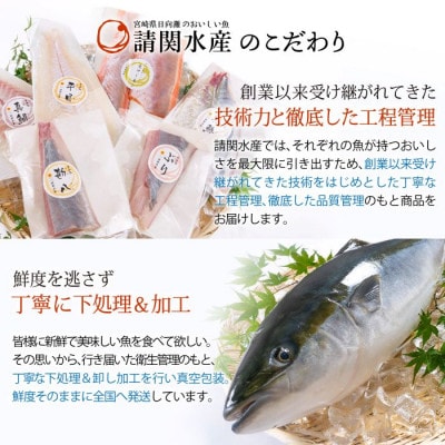 【毎月定期便】旬の鮮魚6ヶ月コース(門川町)全6回