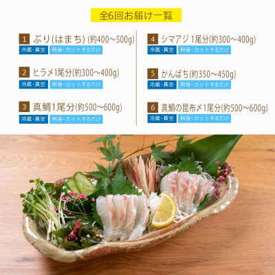【毎月定期便】旬の鮮魚6ヶ月コース(門川町)全6回