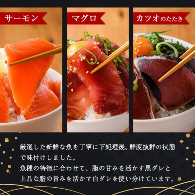 【毎月定期便】海鮮 お魚漬け丼食べ比べセット(門川町)全6回