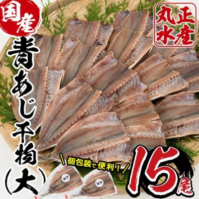 九州産あじの開き(1尾約20cm・計15枚)
