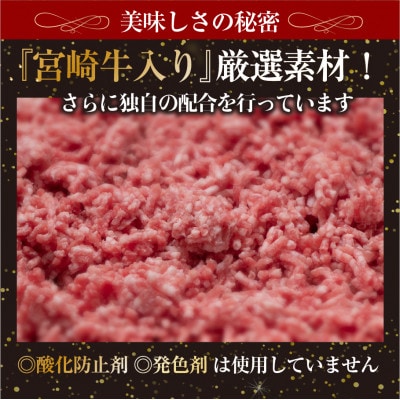 宮崎牛入りハンバーグ(140g×20個)