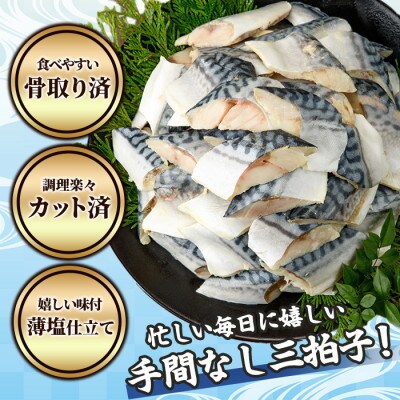 骨取りさば切身(9切×8袋)塩サバフィーレ付き