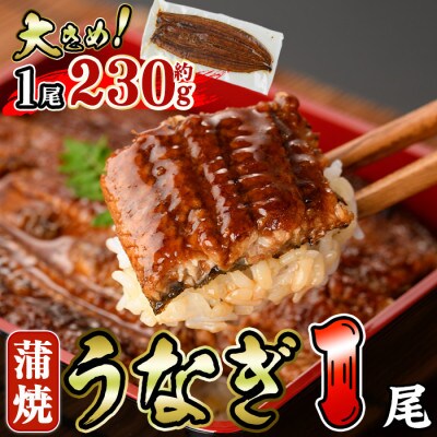 うなぎ蒲焼き(1尾)
