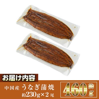 うなぎ蒲焼き(2尾)