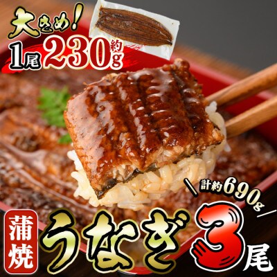 うなぎ蒲焼き(3尾)
