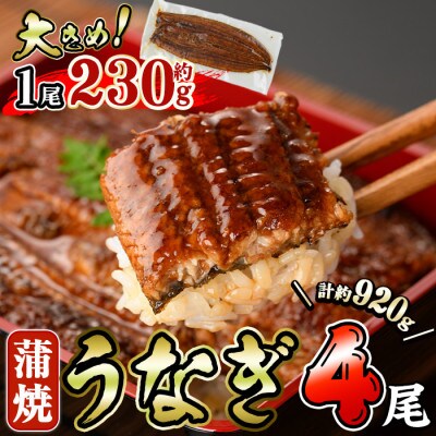 うなぎ蒲焼き(4尾)