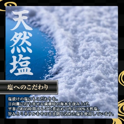 ≪訳あり≫「宮崎からすみ寒」(50g)　からすみパウダー付き