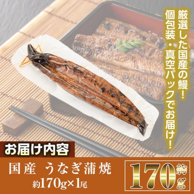 国産うなぎ蒲焼(約170g×1尾)
