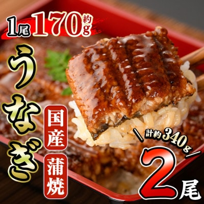 国産うなぎ蒲焼(約170g×2尾)