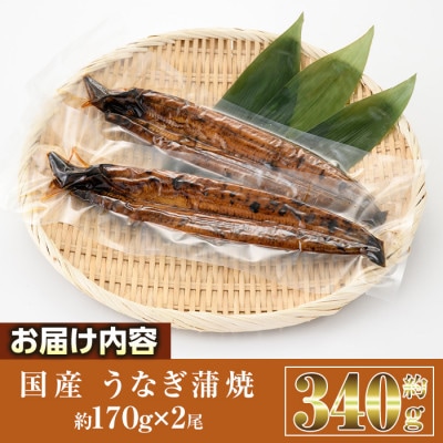 国産うなぎ蒲焼(約170g×2尾)