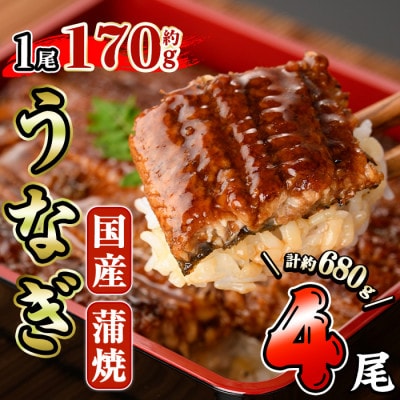 国産うなぎ蒲焼(約170g×4尾)