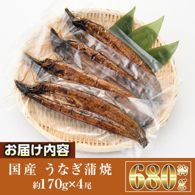 国産うなぎ蒲焼(約170g×4尾)
