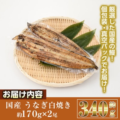 国産うなぎ白焼(約170g×2尾)