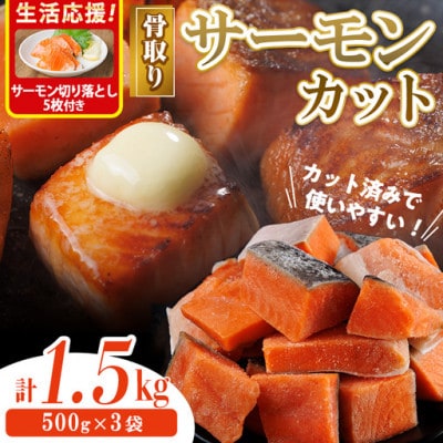 骨取り サーモン(鮭)カット(500g×3袋)サーモン切り落とし付き