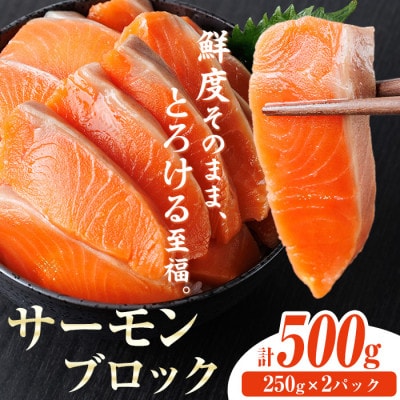 生食用サーモンブロック 500g