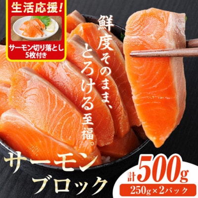 生食用サーモンブロック(500g)サーモン切り落とし付き