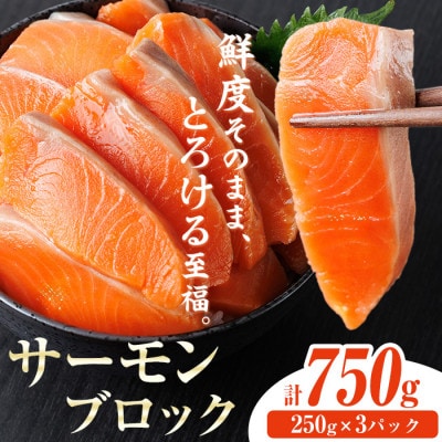生食用サーモンブロック 750g