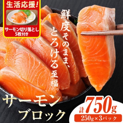 生食用サーモンブロック 750gサーモン切り落とし付き
