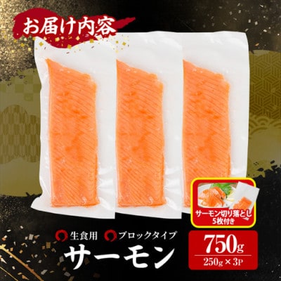 生食用サーモンブロック 750gサーモン切り落とし付き