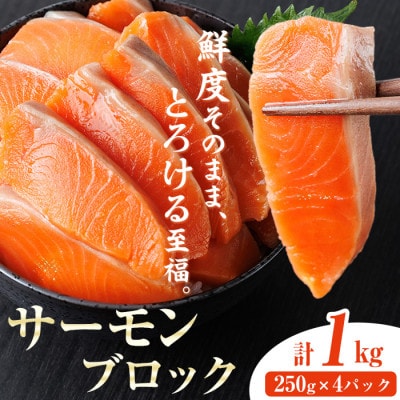 ���H�p�T�[�����u���b�N 1kg