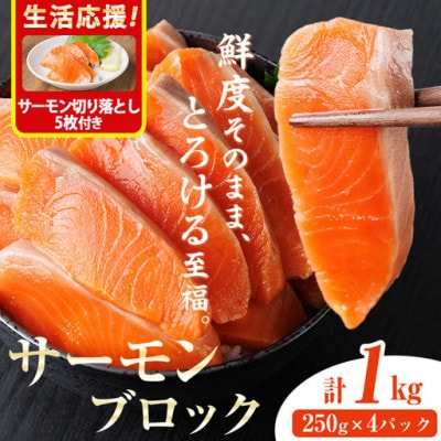 生食用サーモンブロック 1kgサーモン切り落とし付き