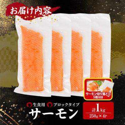 生食用サーモンブロック 1kgサーモン切り落とし付き