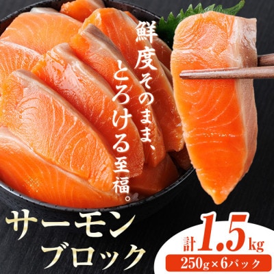 生食用サーモンブロック 1.5kg