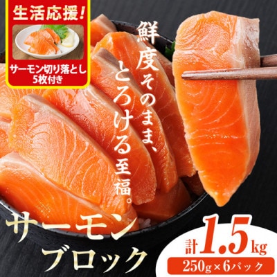 生食用サーモンブロック(1.5kg)サーモン切り落とし付き