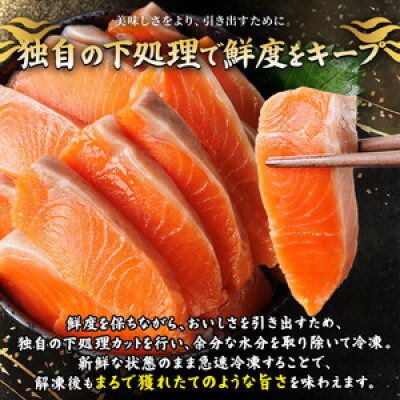 生食用サーモンブロック 1.5kg