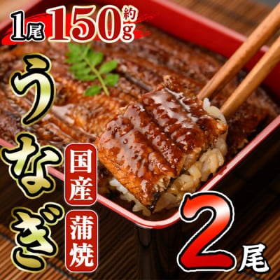 国産 うなぎ蒲焼(約150g×2尾)