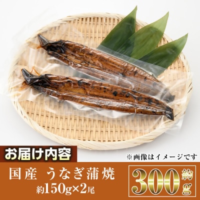 国産 うなぎ蒲焼(約150g×2尾)