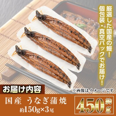 国産 うなぎ蒲焼(約150g×3尾)