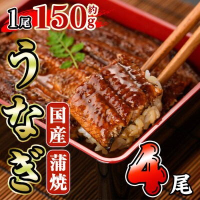 国産 うなぎ蒲焼(約150g×4尾)