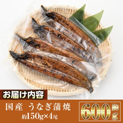 国産 うなぎ蒲焼(約150g×4尾)