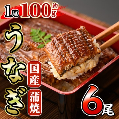 国産 うなぎ蒲焼(約100g×6尾)