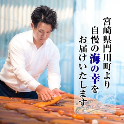 骨取りさば切身と鮭カットのセット(合計約1.7kg)