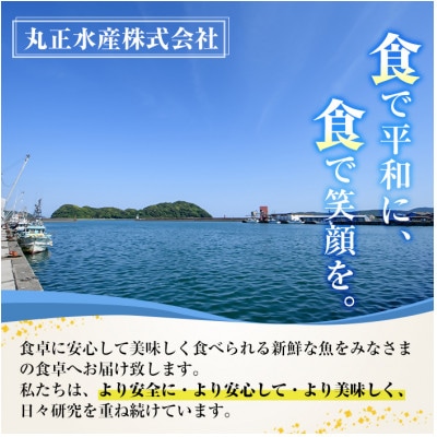骨取りさば切身と鮭カットのセット(合計約3.4kg)