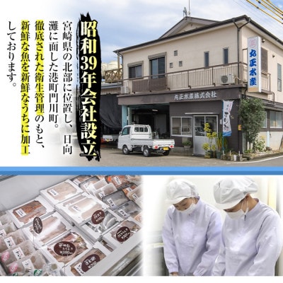 骨取りさば切身と鮭カットのセット(合計約3.4kg)