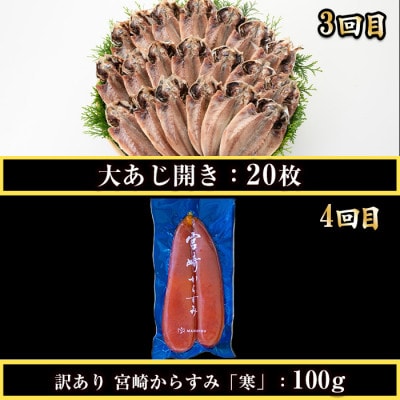 【毎月定期便】海の幸定期便全4回