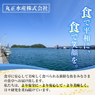 【毎月定期便】海の幸定期便全4回